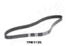 ASHIKA 112-7PK1125 V-Ribbed Belts